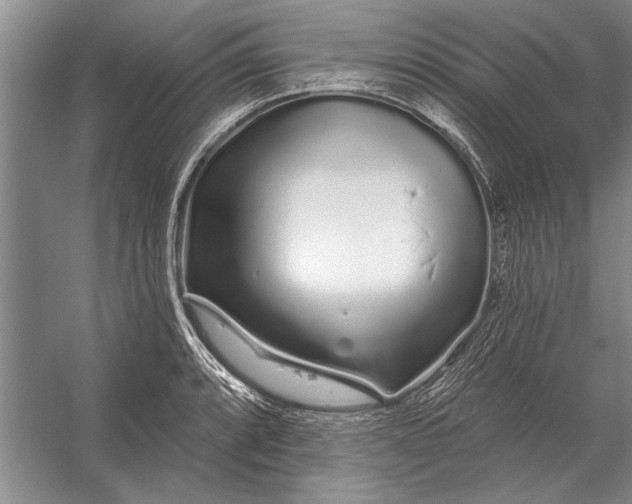 X0000056371088200509161848