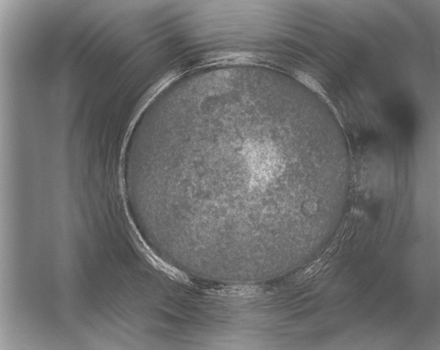 X0000056371090200509161848