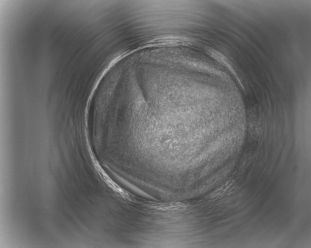 X0000056371091200509161848