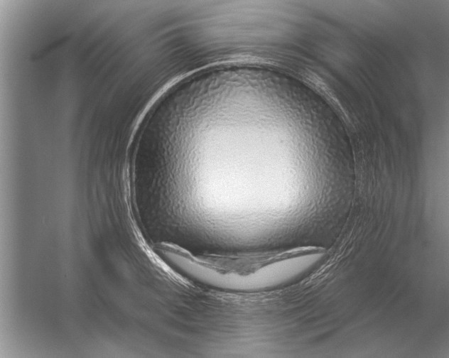 X0000056371092200509161848