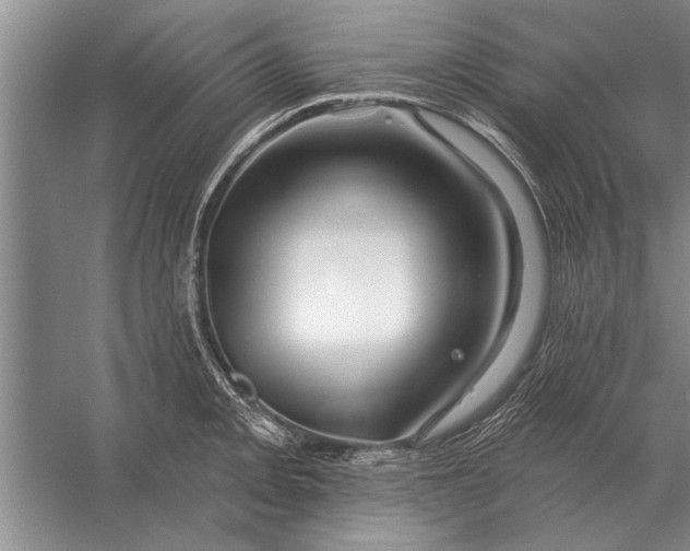 X0000056371093200509161848