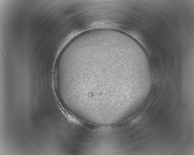 X0000056371094200509161848