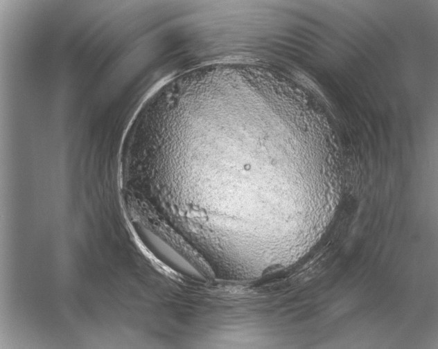 X0000056371095200509161848