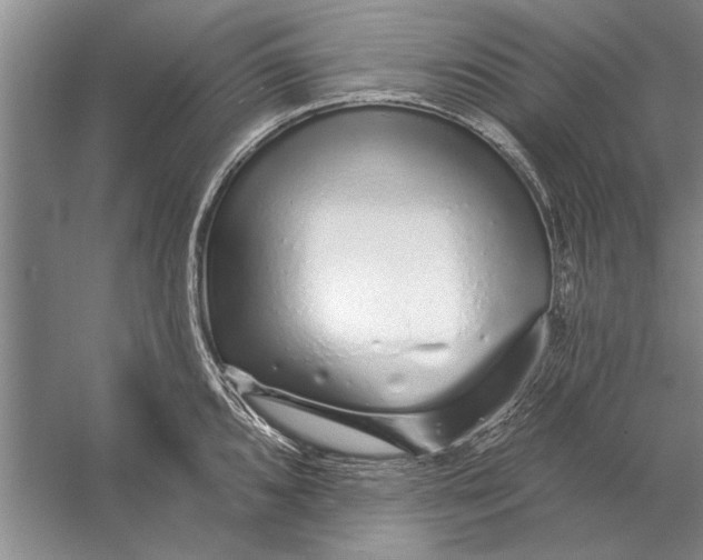 X0000056371096200509161848