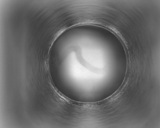 X0000056371097200509161848