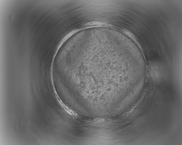 X0000056371098200509161848