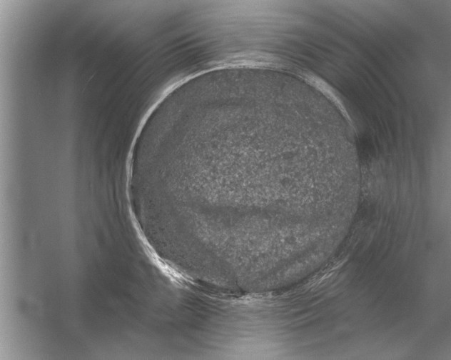 X0000056371099200509161848