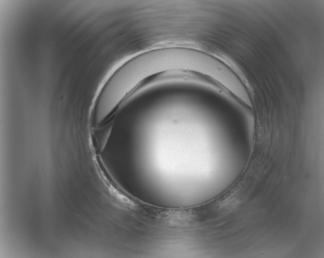 X0000056371102200509161848