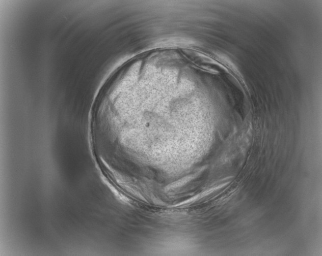 X0000056371103200509161848