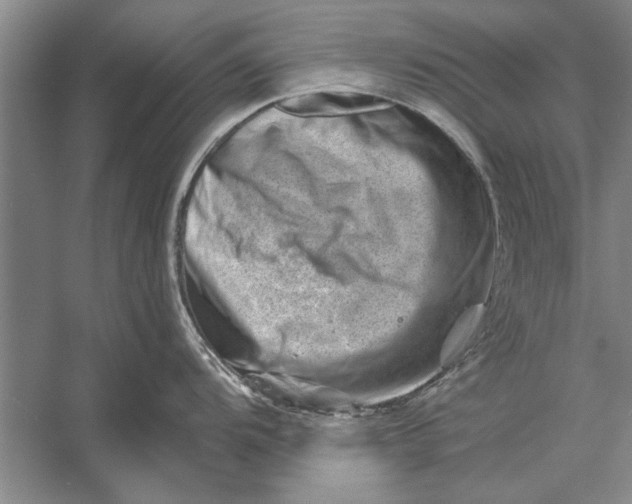 X0000056371104200509161848