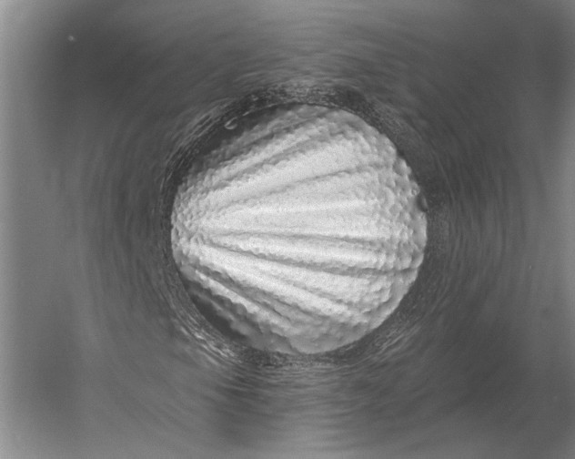 X0000056371105200509161847