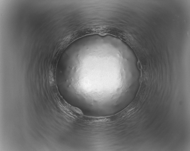 X0000056371106200509161847