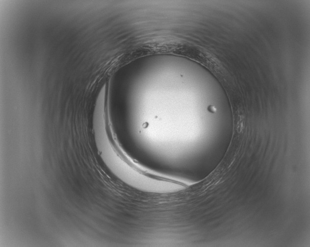 X0000056371108200509161847