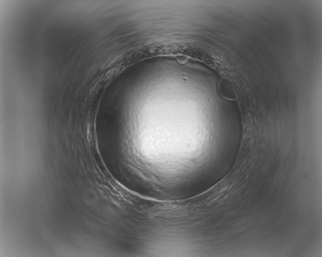 X0000056371109200509161847