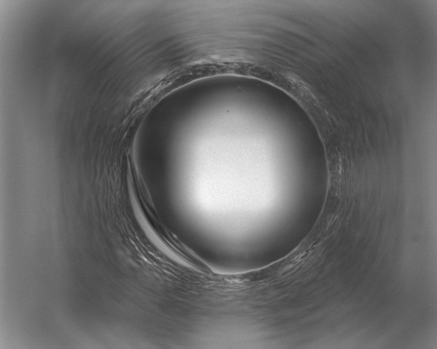 X0000056371110200509161847