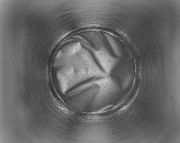 X0000056371113200509161847