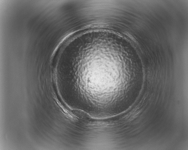 X0000056371115200509161847