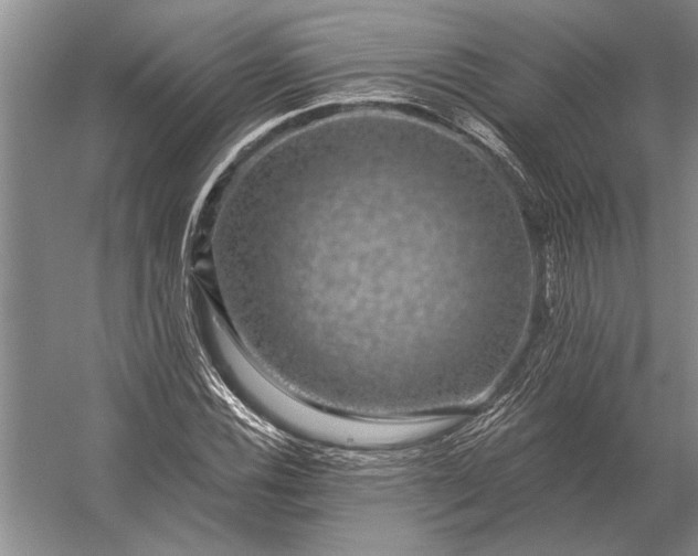 X0000056371116200509161847