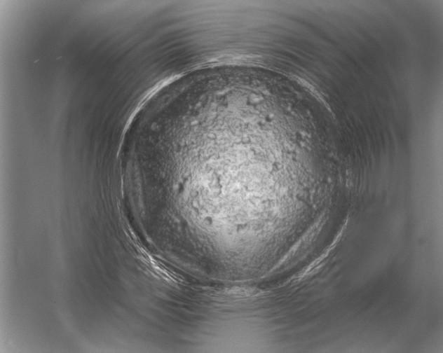 X0000056371117200509161847