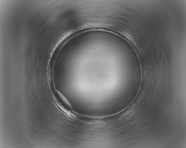 X0000056371119200509161847