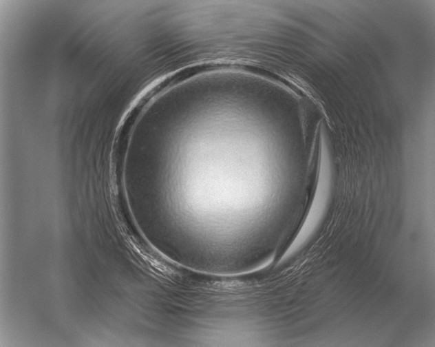 X0000056371120200509161847