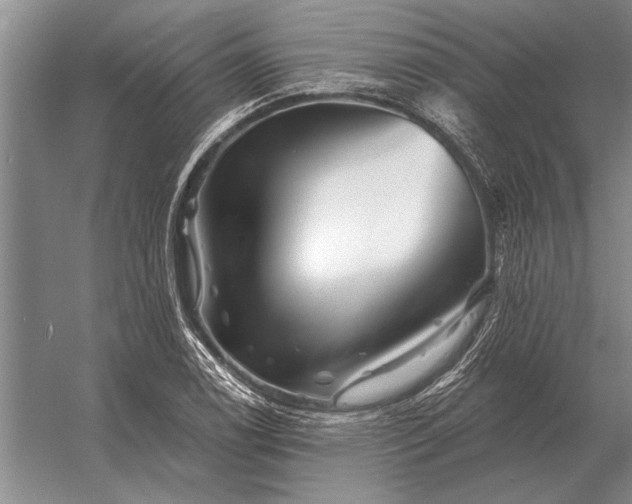 X0000056371122200509161847