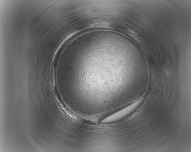 X0000056371123200509161847