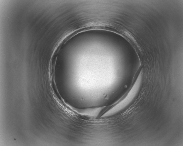 X0000056371124200509161847