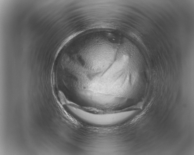 X0000056371125200509161847