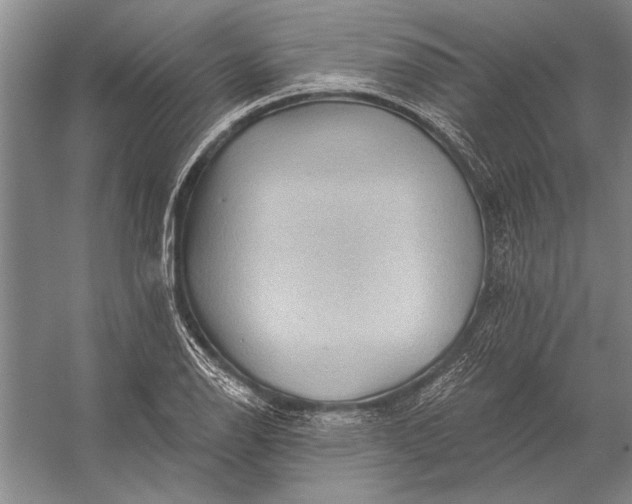 X0000056371126200509161847