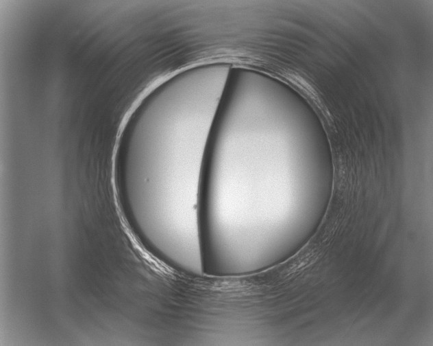 X0000056371128200509161847