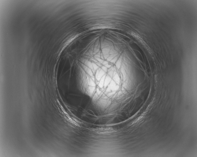 X0000056371129200509161847