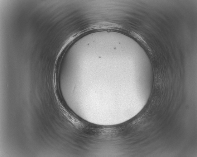 X0000056371130200509161847