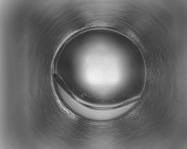 X0000056371132200509161847