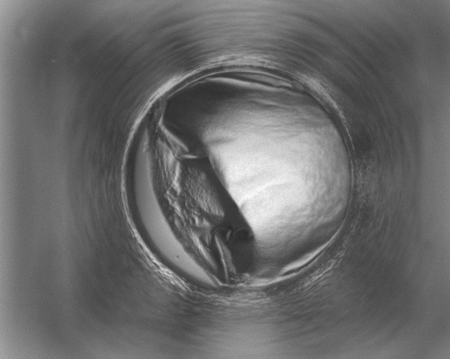 X0000056371133200509161847