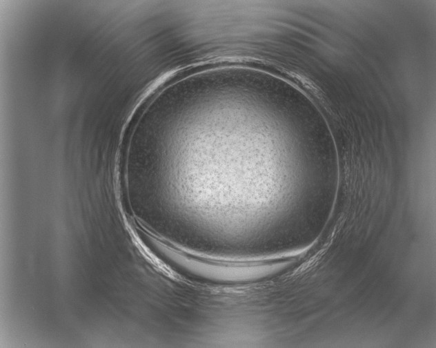 X0000056371134200509161847