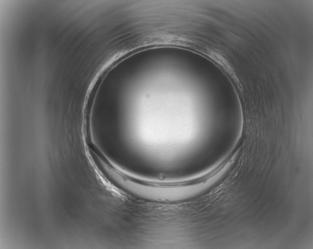 X0000056371136200509161847