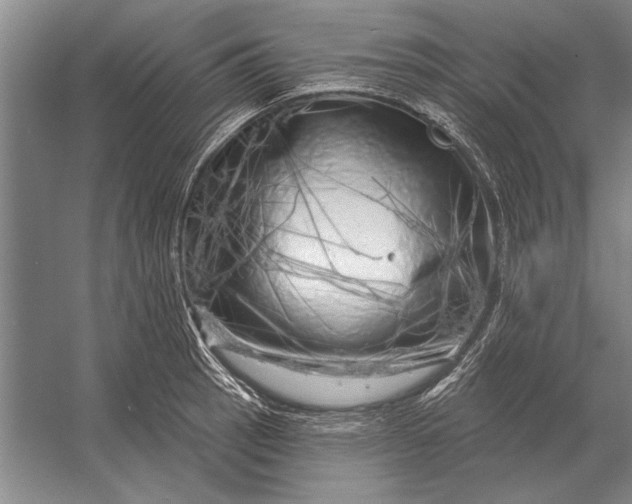 X0000056371137200509161847