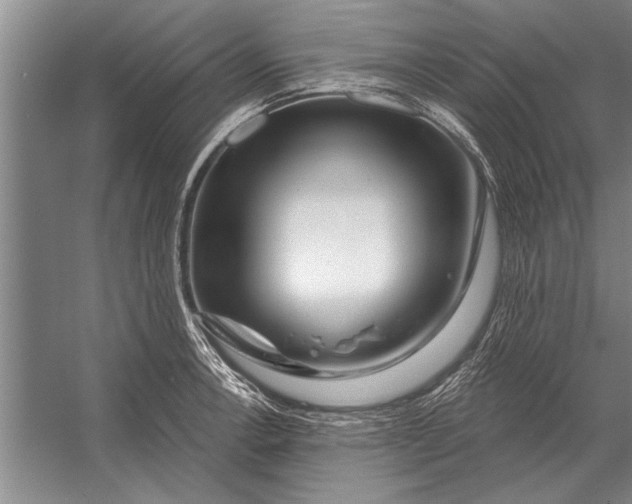 X0000056371138200509161847