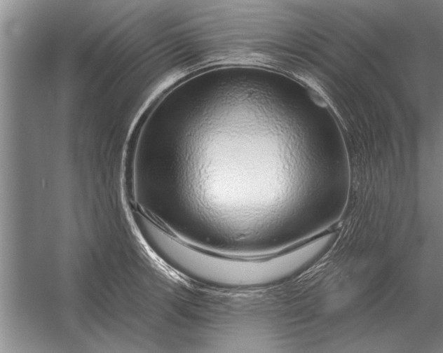 X0000056371139200509161847