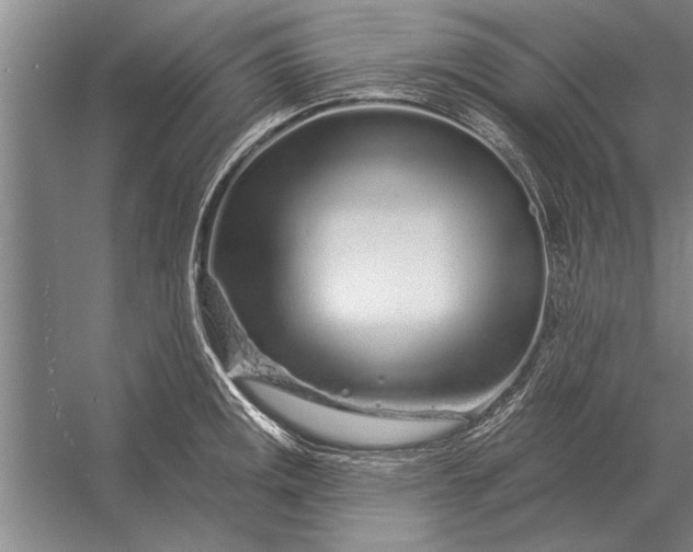 X0000056371141200509161847