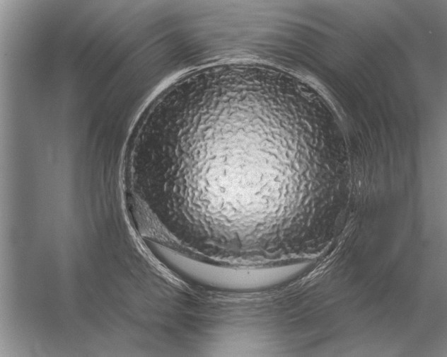 X0000056371142200509161847