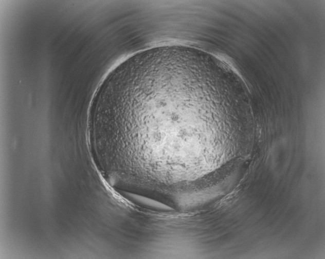 X0000056371143200509161847