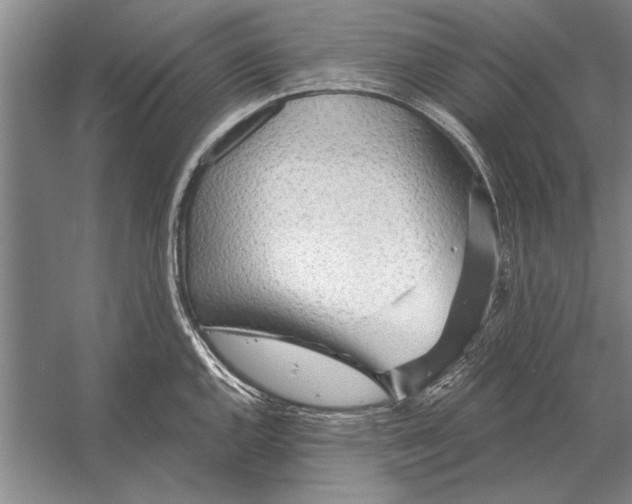 X0000056371144200509161847