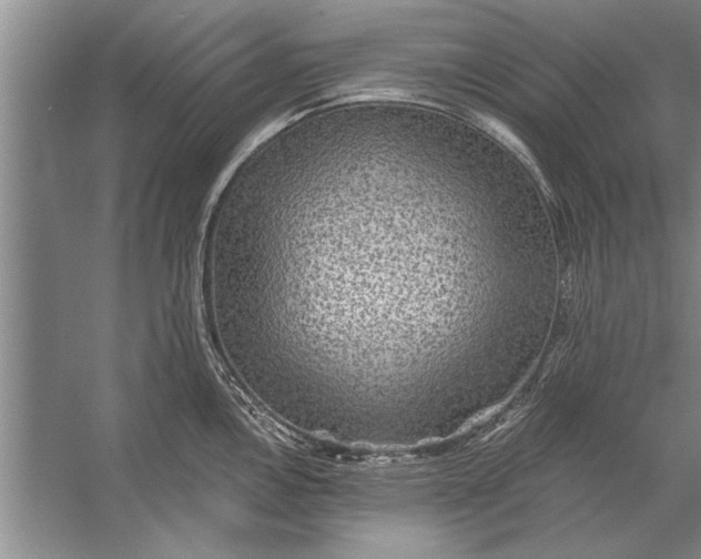 X0000056371146200509161848