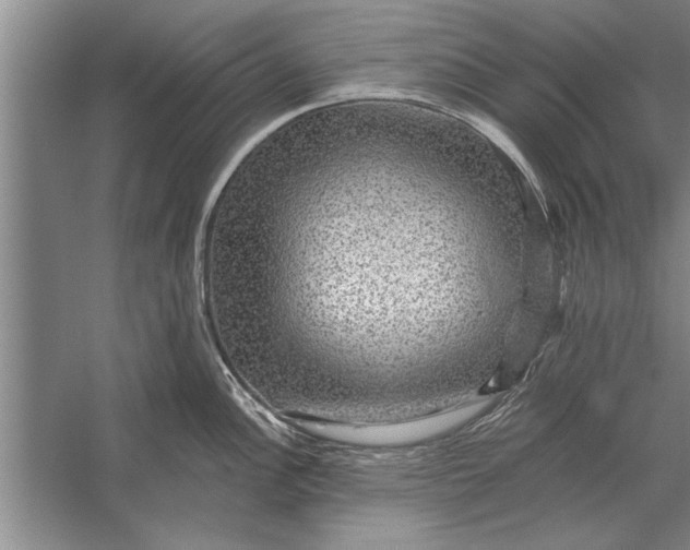 X0000056371148200509161848