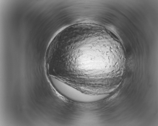 X0000056371149200509161848