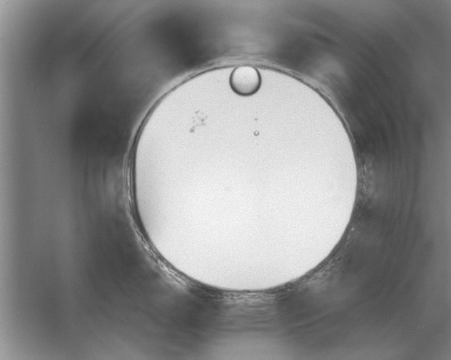 X0000056371150200509161848