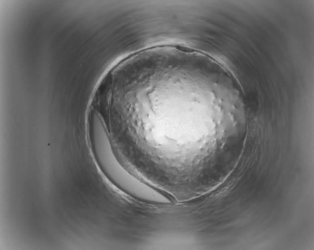 X0000056371151200509161848