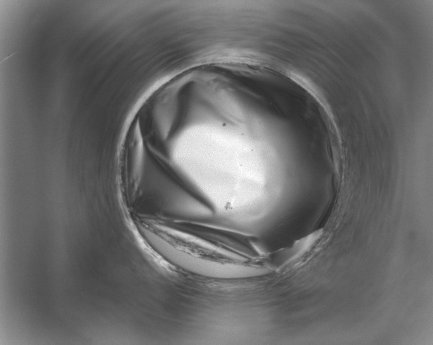 X0000056371152200509161848